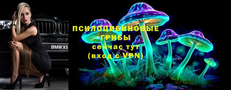 Галлюциногенные грибы Cubensis  omg маркетплейс  Чехов 